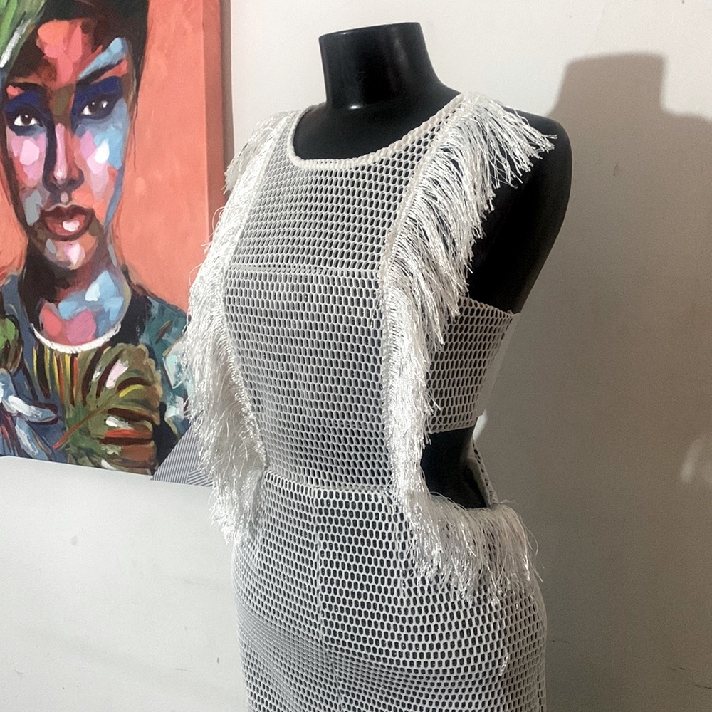 White Mesh and Metallic Dress- NWT
